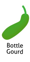 Bottle Gourd vegetable illustration for kids education 