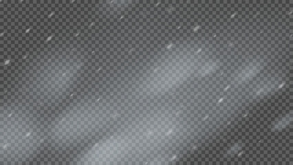 Snowstorm and falling snowflakes