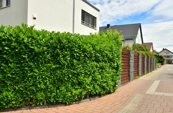 Moderner Sichtschutzzaun abwechselnd aus mit Naturstein gef&uuml;llten Gabionen aus verzinktem Stahlgitter und lasierter Holzbretterverschalung um ein bebautes Grundst&uuml;ck