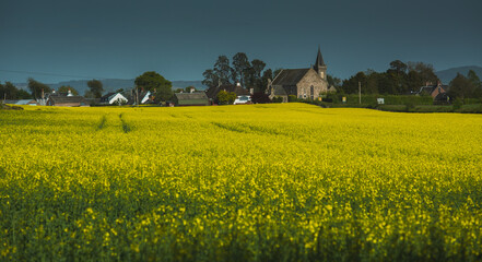 View of the church and the village from the rape field