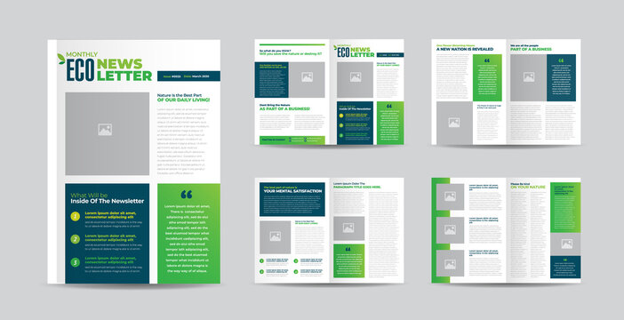Business Newsletter Design or Journal Design or  Monthly or Annual Report Design 