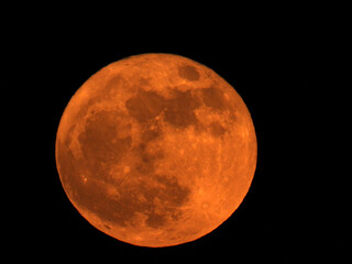 moon, moonlight, sky, night, full moon, planet, light, space, astronomy, midnight, bright, landscape, dark, full, nature, astrology, background, big moon, black, black sky, blood, celestial, cosmos, c
