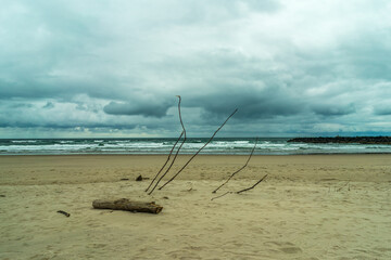 Fototapeta premium Rockaway Beach in Tillamook County, Oregon