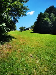 Obraz premium path in the field