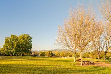 A view of american's neighborhood