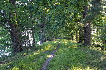 Summer in the park in South Bohemia.