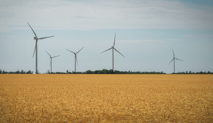 Wind turbines and agricultural field on a summer day. Energy production, clean and renewable energy.
