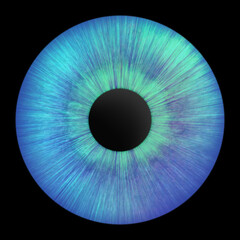 Iris of the eye. Human iris. Illustration of an eye. Creative graphic design.