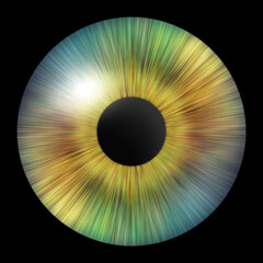 Human iris. Iris of the eye. Illustration of an eye. Creative graphic design.