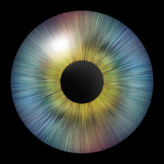 Fototapeta na wymiar Iris of the eye. Human iris. Eye illustration. Multicolored eye isolated on white.