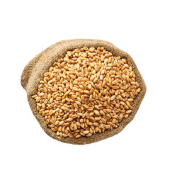 organic wheat in sack isolated on white background top view.