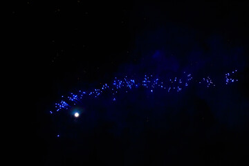 Fireworks sparks on a black sky background. graphic resource for design. Blank for the designer....