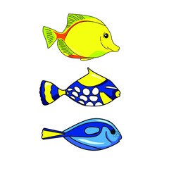 Reef Fish Vector. Coral Fish Illustration. Tropical fish isolated on white background