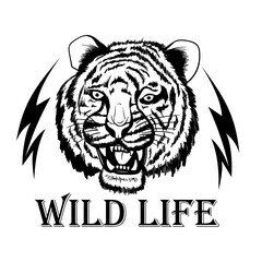 Wild life vector print design. Lion face artwork for posters, stickers, background and others. Wild cat illustration.