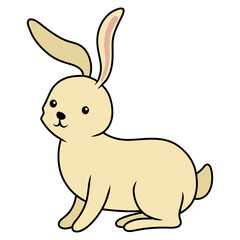 bunny animal rabbit