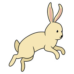 easter bunny rabbit