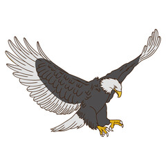 eagle in flight