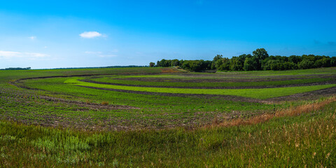 Fototapeta na wymiar Tranquil prairie landscape with curving field sections near Red River in North Dakota