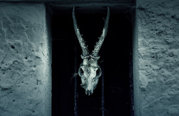 Satanic goat skull