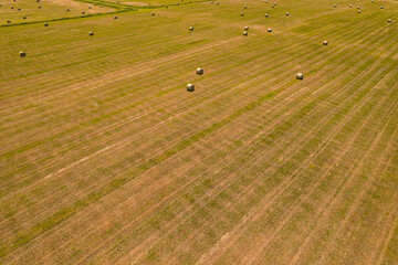 Obraz premium Summer farm scenery with haystacks and bales of hay. Field landscape with rolls scattered around. Agriculture panoramic photo with rural harvest landscape. Grass and wheat rolls left in a field.