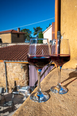 Tasting of red wine by old wine maker in Pierres Dorées region with yellow stone houses on south of Beaujolais region, France