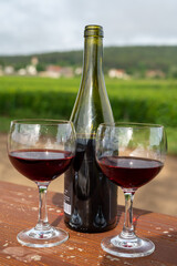 Tasting of red dry pinot noir wine in glass on premier and grand cru vineyards in Burgundy wine making region near Vosne-Romanée village, France