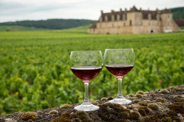 Tasting of red dry pinot noir wine in glass on premier and grand cru vineyards in Burgundy wine making region with chateau on background, France