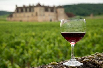 Tasting of red dry pinot noir wine in glass on premier and grand cru vineyards in Burgundy wine making region with chateau on background, France