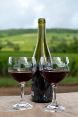 Tasting of red dry pinot noir wine in glass on premier and grand cru vineyards in Burgundy wine making region near Vosne-Romanée village, France