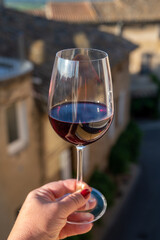 Wine tour with tasting of red dry wine and view on roofs of medieval houses in Châteauneuf-du-Pape ancient wine making village in France