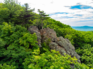Rocky hill with abundant vegetation. Cedars grow right in the rocky rock. Nature protection zone near Khabarovsk in the Khekhtsir Nature Reserve. A favorite place of tourists is Snake Hill. 