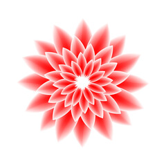 beautiful pink lotus flower vector front view