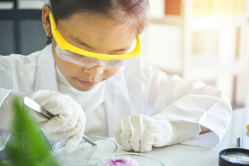 Little asia kids girl in lab learning chemistry in school laboratory. Young scientists in protective glasses making experiment in lab or chemical cabinet. education science medical concept
