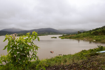 planta proxima a barragem