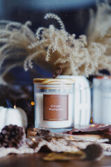 autumn mood -  fall decoration 