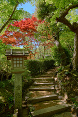 Lanterns and autumn leaves, 灯籠と紅葉