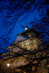 Naklejka premium Osaka castle at night, 夜の大阪城