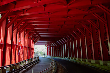 Red tunnel, 赤いトンネル