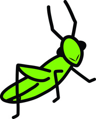 adorable, amusing, animal, antenna, art, biology, body, bug, cartoon, character, cheerful, closeup, comic, creature, cricket, cute, drawing, ecology, face, funny, graphic, grasshopper, green, green gr