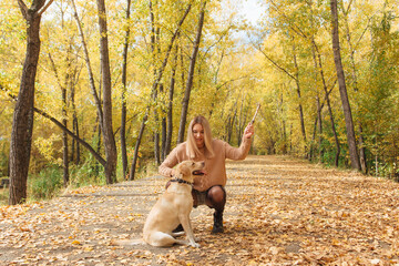 A young woman walking with her beloved labrador dog in autumn park.