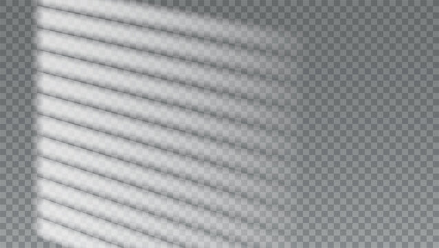 Silhouette of blinds on transparent background. 