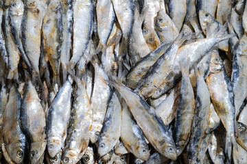 Salted Fish (Ikan Asin) is a popular food in Indonesia. Salted fish can be purchased at the nearest...