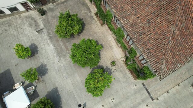 Drone flying over Square with orange trees in downtown of ancient city Guimaraes, North of Portugal 