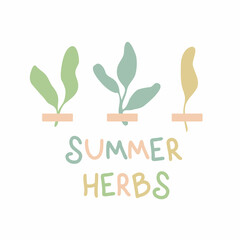 Doodle print with small plants herbarium and text SUMMER HERBS. Simple design for tee, fabric, stationery. Hand drawn isolated vector illustration for decor and design.