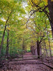 Fototapeta premium Wooden Rail in Autumn Forest Path
