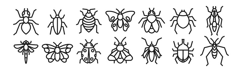 Insects line art icon set design template vector illustration