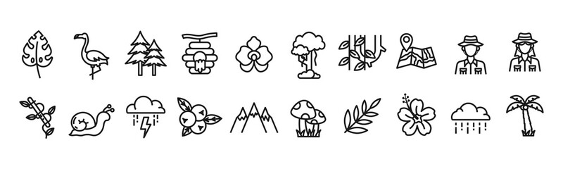 Rainforest line art icon set design template vector illustration