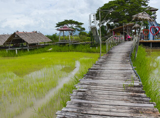 Photo angle of wooden bridge in the resort in the middle of rice fields, Thai tourist attraction.