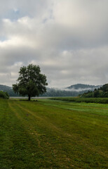 Poranek nad zalewem Solińskim 