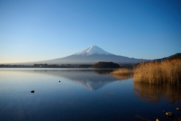 Floating Mt. Fuji on the Lake Kawaguchi